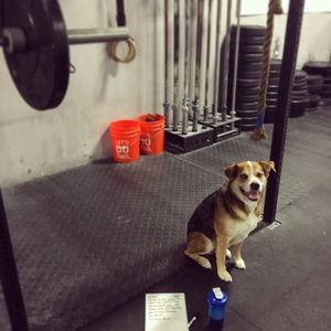 Meet your Posher, Abby